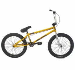 Academy BMX Forgotten Damned BMX Bike