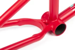 BSD ALVX Frame (2020)