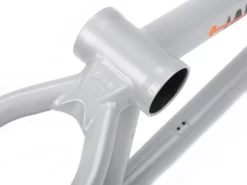 BSD Freedom Frame (2021)