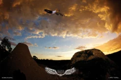 Back Bone BMX Dane Searls D.A.N.E Tribute Poster - Limited Edition