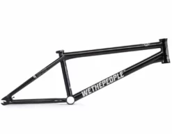 Wethepeople Doomsayer Frame (2021)