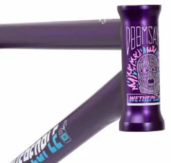 Wethepeople Doomsayer Frame (2021)