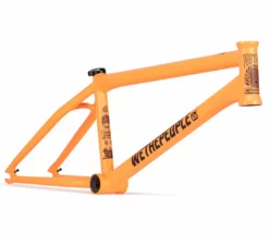 Wethepeople Doomsayer Frame (2021)