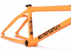 Wethepeople Doomsayer Frame (2021)