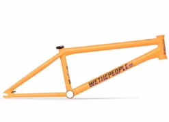 Wethepeople Doomsayer Frame (2021)