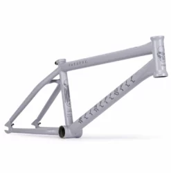 FRAMES Wethepeople Paradox Frame (2021)